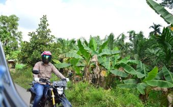 Kendaraan Motor, Pimpinan Bawaslu Lakukan Pengawasan Verfak Calon Perseorangan